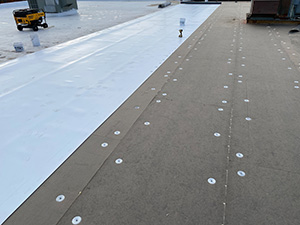 Single Ply Roofing1